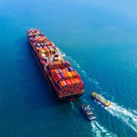 低价国际物流海运DDP到印度尼西亚/沙特/迪拜专业海运拼箱