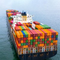 货运代理中国各港口到澳大利亚/南非海运拼箱整柜